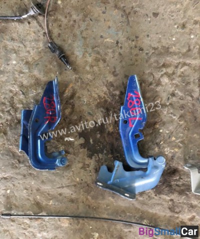 Петли капота Mitsubishi Lancer X - купить Елшанке