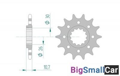 Звезда ведущая AFAM 21804-17 (JTF1579.17)  520 - купить Елшанке