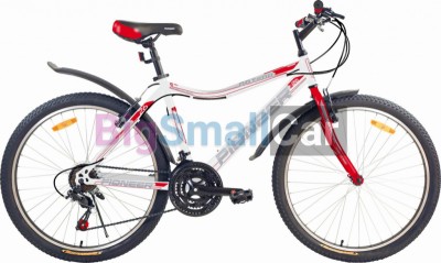 Дорожные велосипеды PIONEER OPTIMA 26/14 mint-blue-pink - купить Елшанке